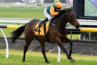 New York Minute (NZ) in a front-running performance in the Listed Powerworx Opunake Cup. 